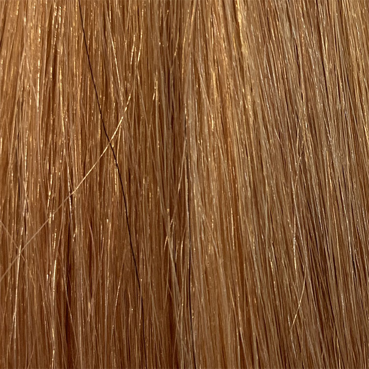 １６